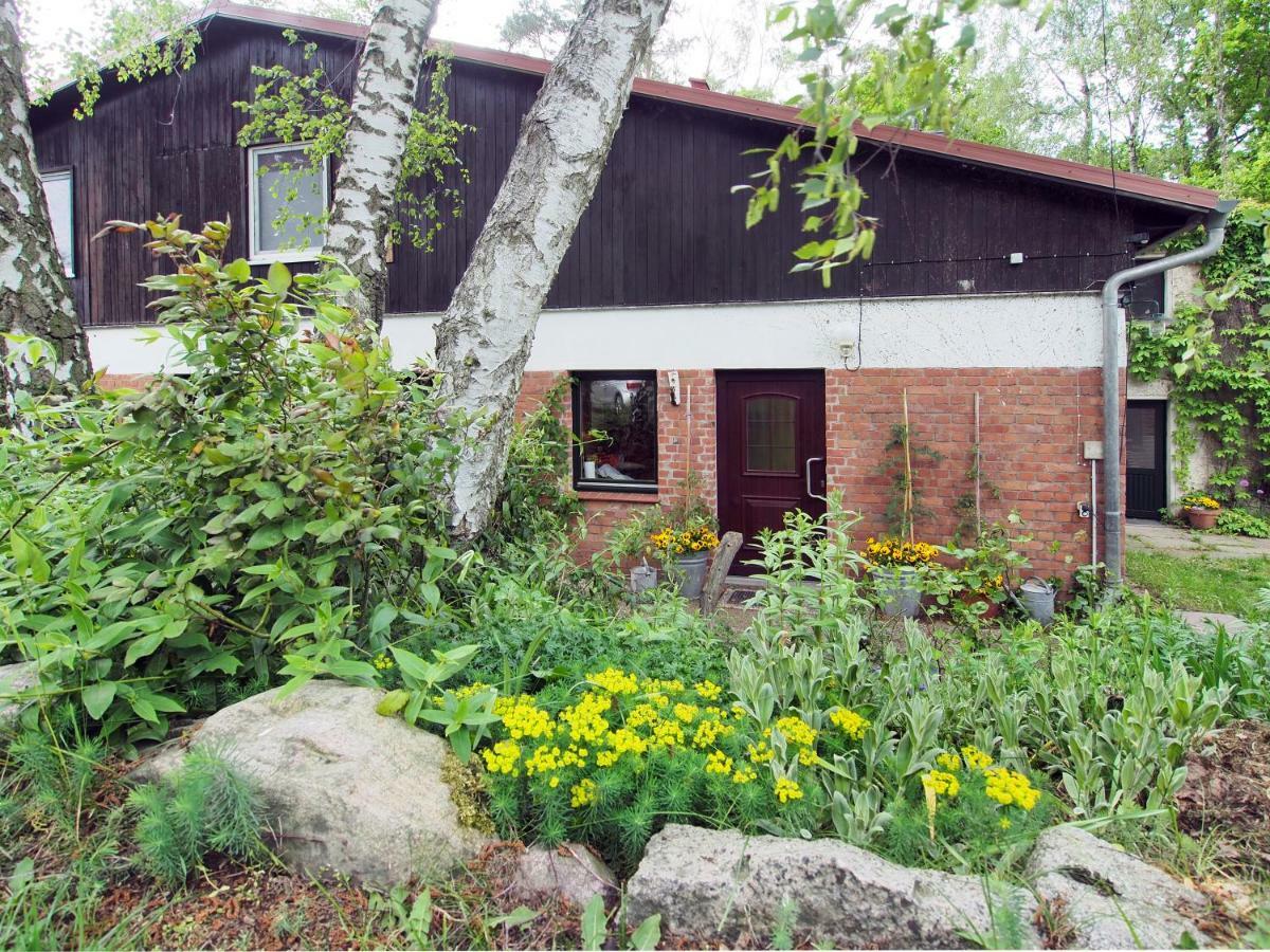 Ferienwohnung am Dümmer See Dummer Exterior foto