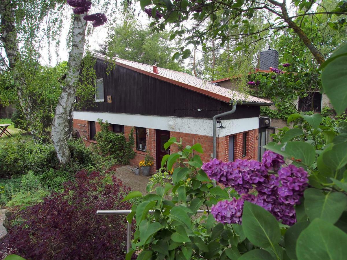 Ferienwohnung am Dümmer See Dummer Exterior foto