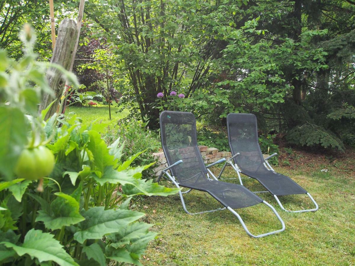 Ferienwohnung am Dümmer See Dummer Exterior foto