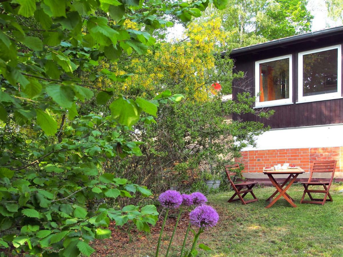Ferienwohnung am Dümmer See Dummer Exterior foto