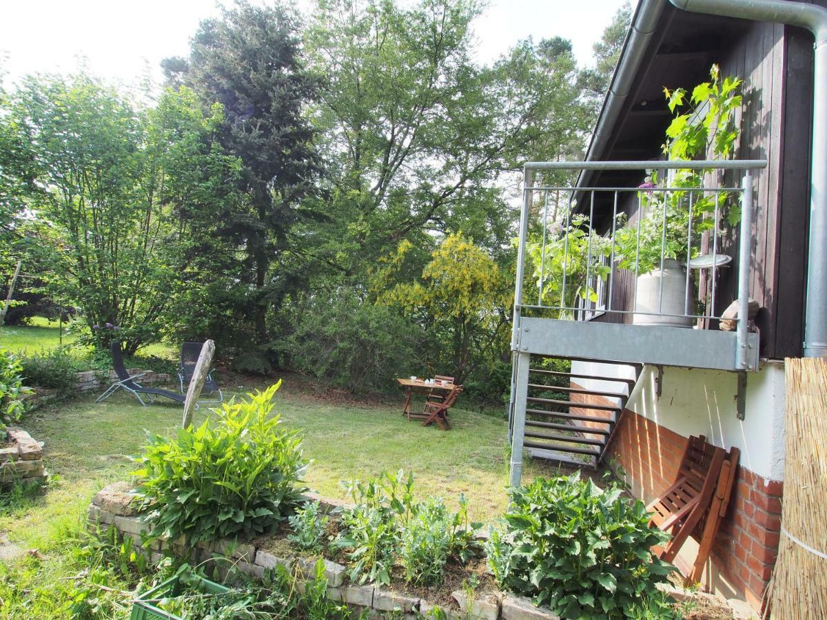 Ferienwohnung am Dümmer See Dummer Exterior foto